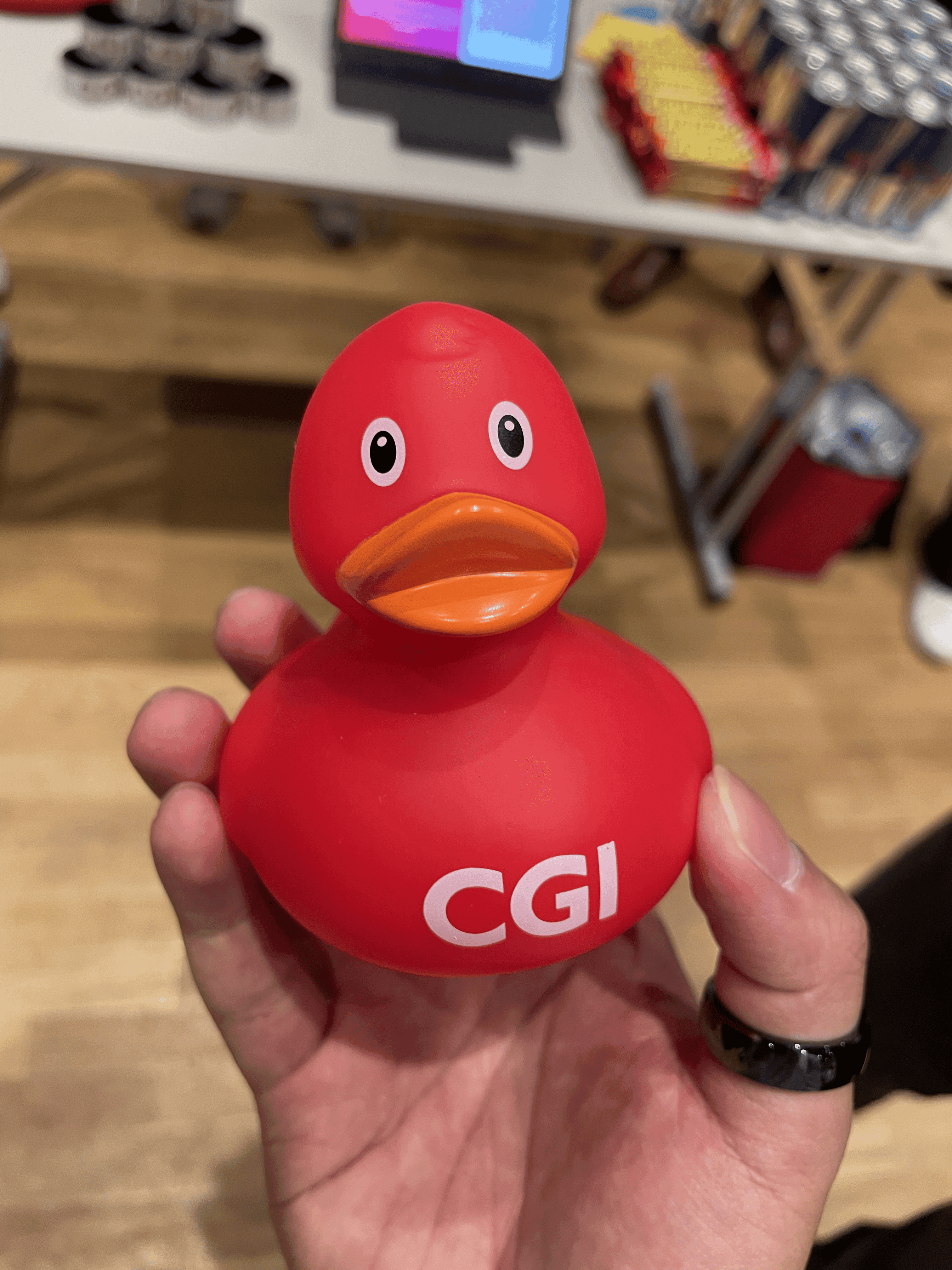 cgi ducks based