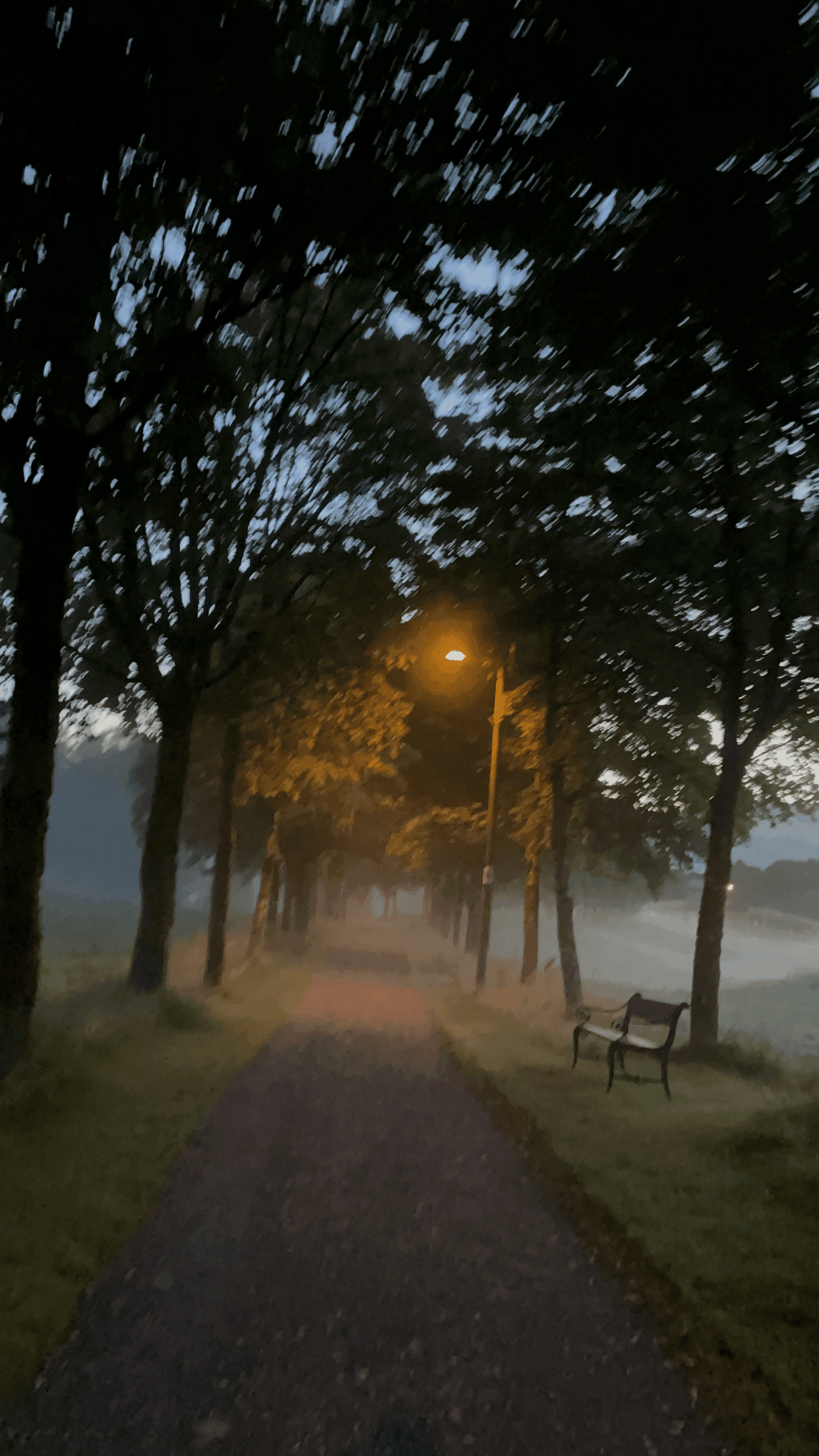 cinematic foggy morning